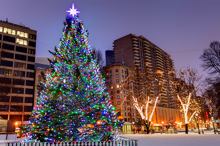 Holiday Tree and Large Building